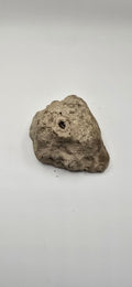 Fossilized root knot